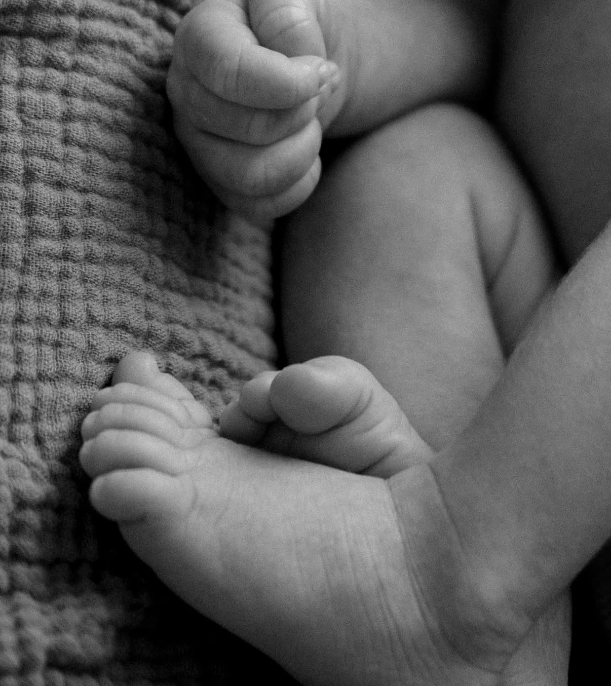 Black-and-white detail of a baby’s hands and feet on a blanket
